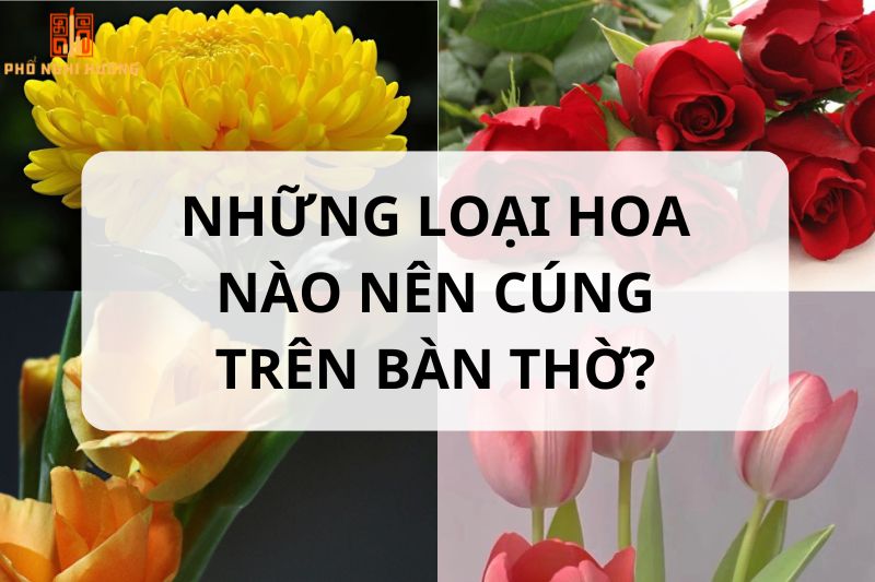 Hoa Cúng