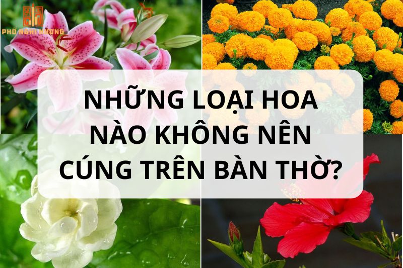 Hoa Thắp Hương