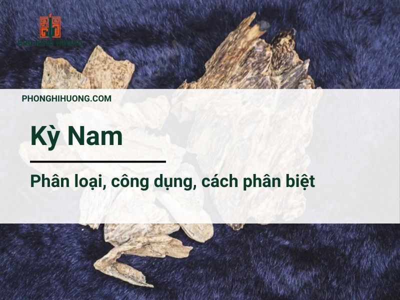 Kỳ Nam