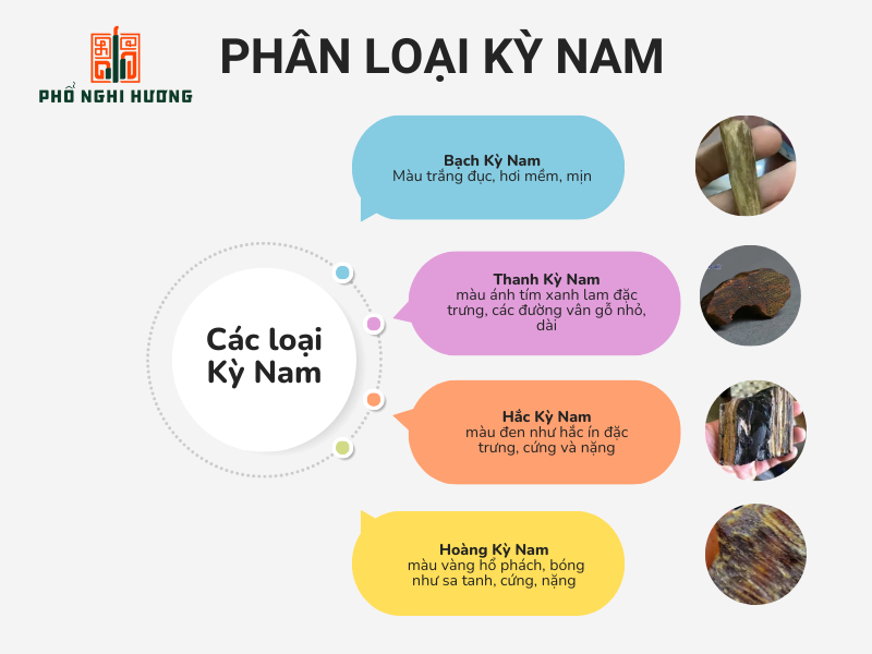 4 loại Kỳ Nam