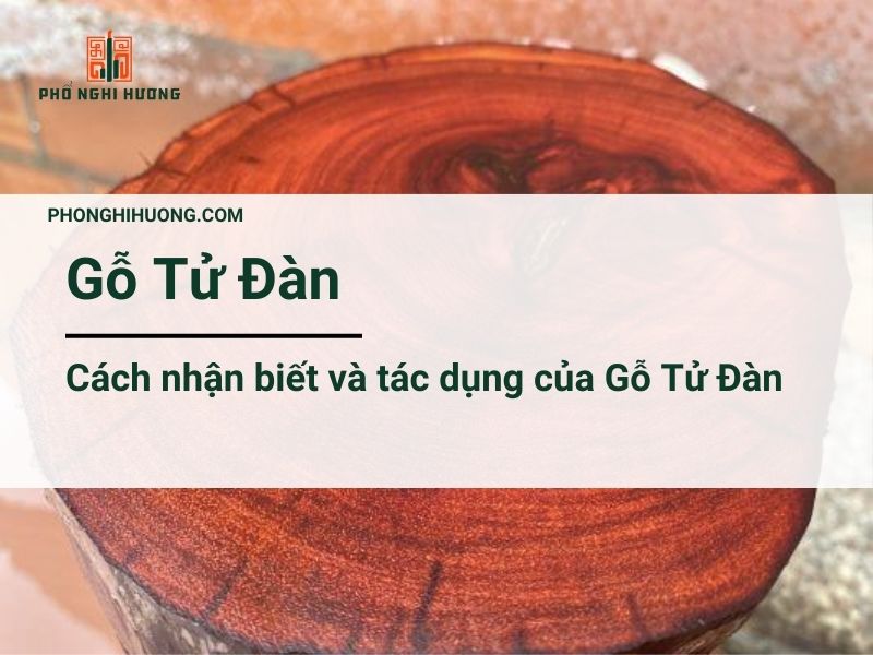 Gỗ Tử đàn