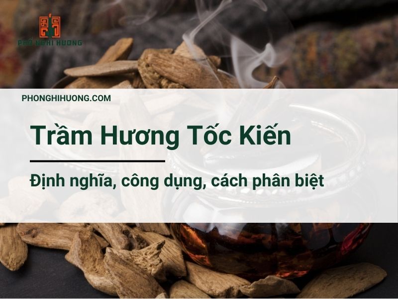 Trầm Hương Tốc Kiến