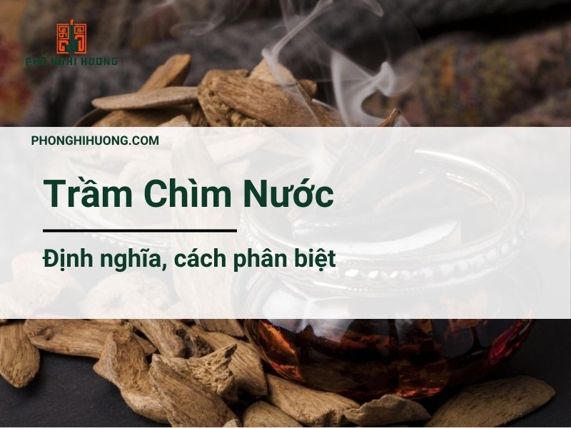 Trầm Chìm Nước