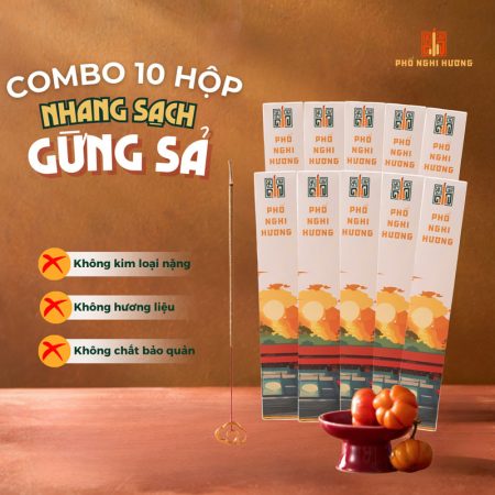 Combo 10 Hộp Nhang Sạch Gừng Sả 30cm   Hộp 100G