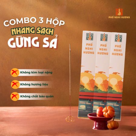 Combo 3 Hộp Nhang Sạch Gừng Sả 30cm   Hộp 100G