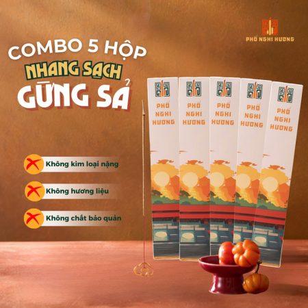 Combo 5 Hộp Nhang Sạch Gừng Sả 30cm   Hộp 100G